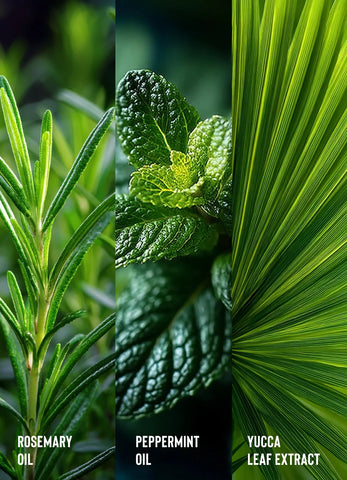 Rosemary Water Daily Strengthening Mist